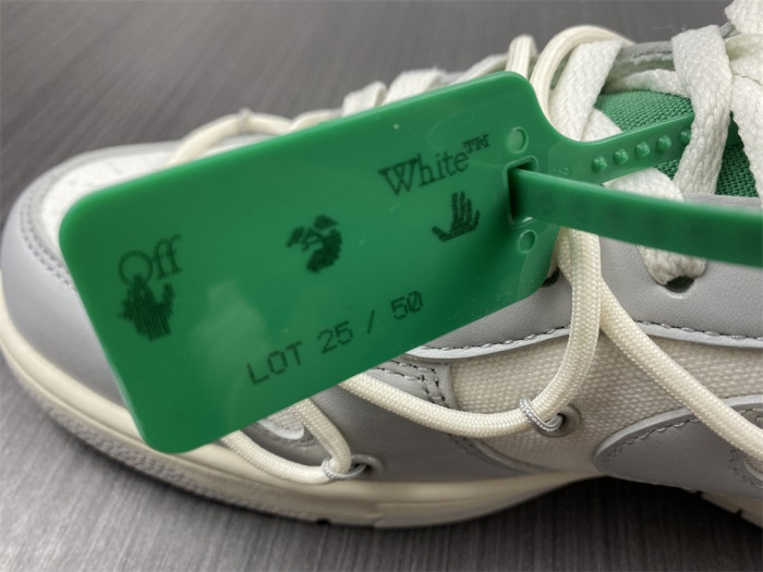 fw x dunk low 