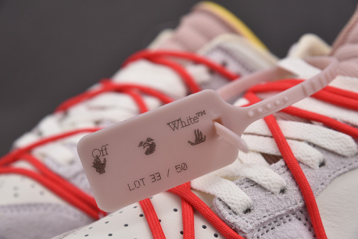 fw x dunk low 