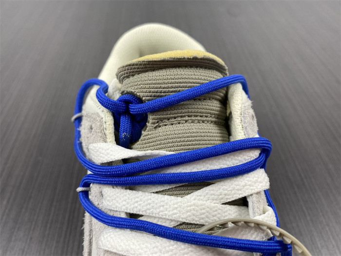 fw x dunk low 