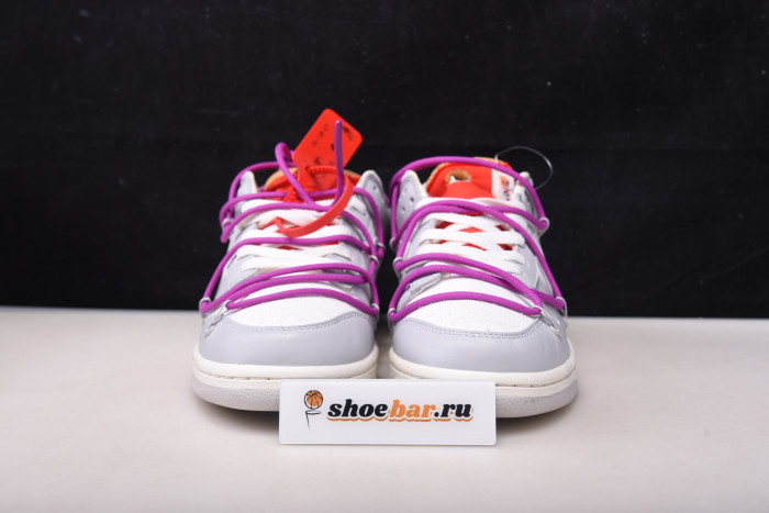fw x dunk low 