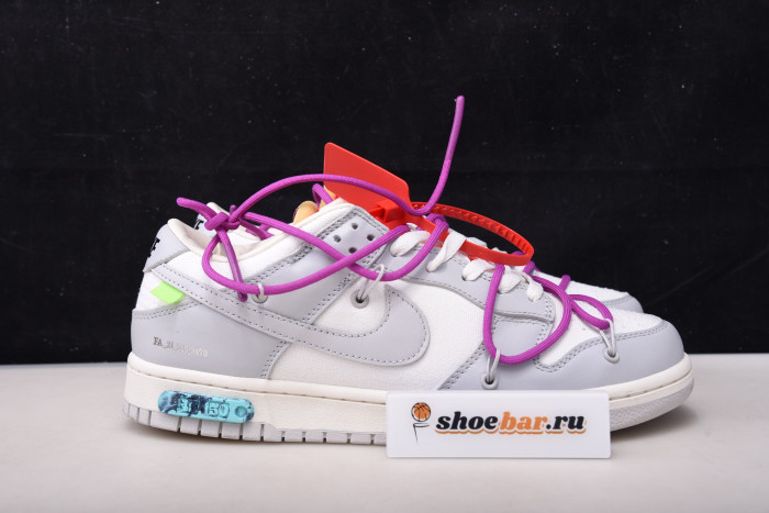fw x dunk low 