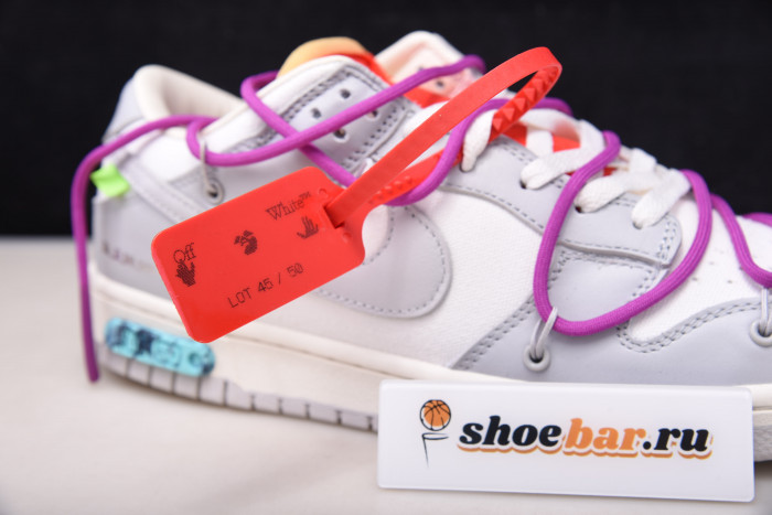 fw x dunk low 