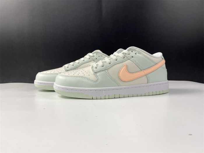 nike dunk low dd1503-104