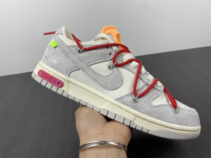 fw x dunk low 