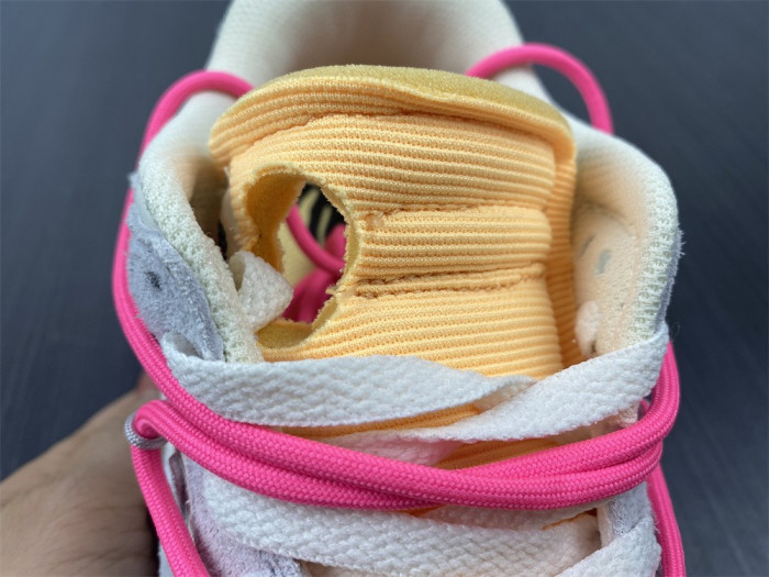 fw x dunk low 