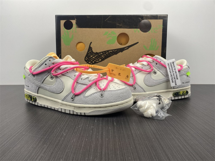 fw x dunk low 